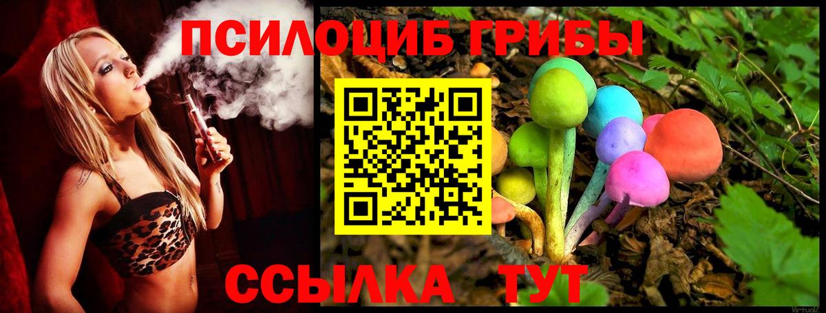 Псилоцибиновые грибы прущие грибы Гусев