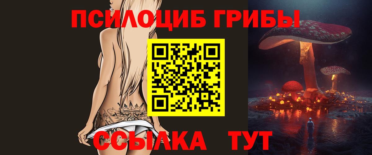 Галлюциногенные грибы прущие грибы  Вход с VPN  Гусев  Галлюциногенные грибы Psilocybe 