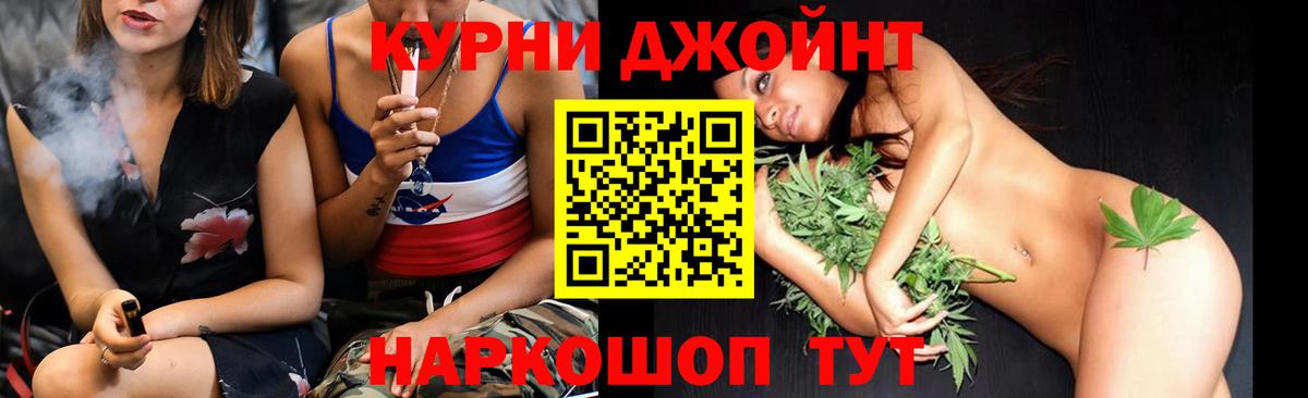 Бошки Шишки план Гусев